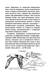 Tajemnice przyrody