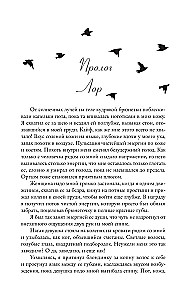 Academy of the Black Bird. Beware the Light