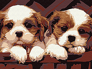 Paint by Numbers - Cute Friends