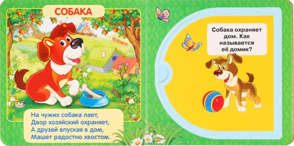 Zwierzęta domowe