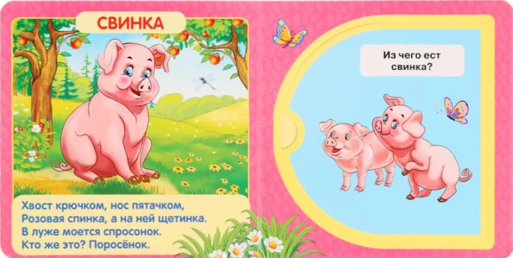 Zwierzęta domowe