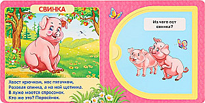 Zwierzęta domowe