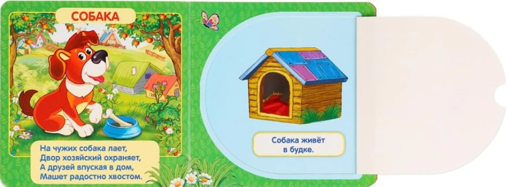 Zwierzęta domowe