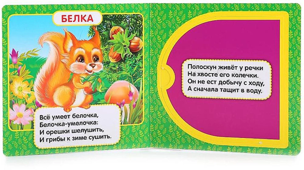 Leśne zwierzęta
