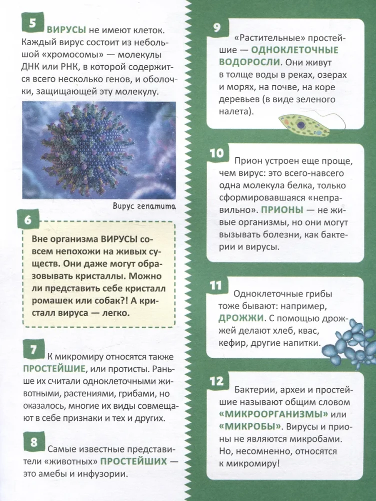 Mikrom world. Rusijos mokinio enciklopedija