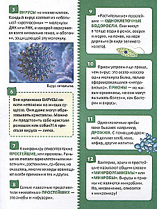 Mikrom world. Rusijos mokinio enciklopedija