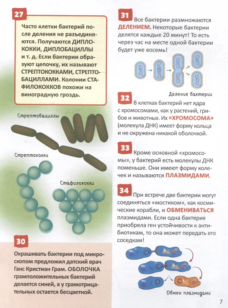 Mikrom world. Rusijos mokinio enciklopedija