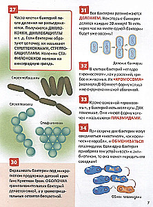 Mikrom world. Rusijos mokinio enciklopedija