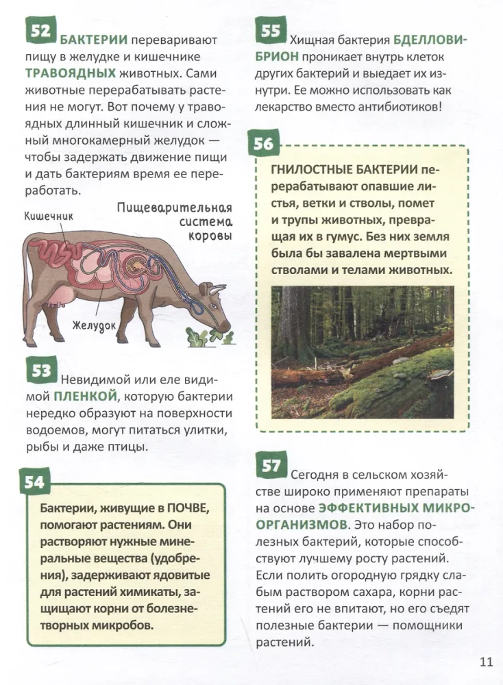 Mikrom world. Rusijos mokinio enciklopedija