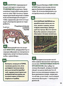 Mikrom world. Rusijos mokinio enciklopedija