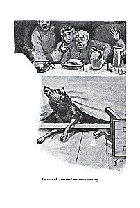 Baśniobrzeskie bajki