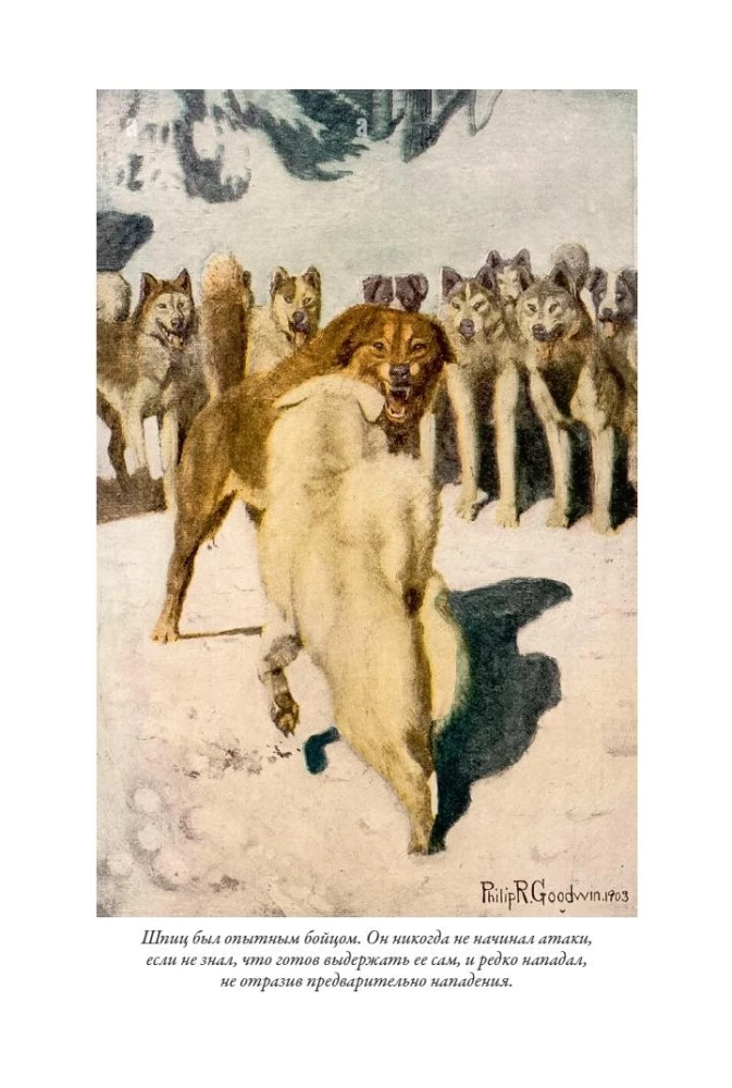Зов предков. Белый клык. Рассказы