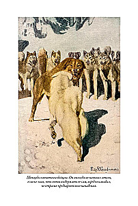 Зов предков. Белый клык. Рассказы