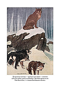 Зов предков. Белый клык. Рассказы