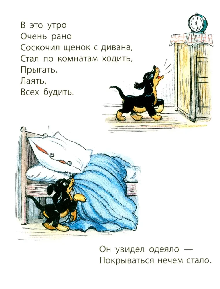 Minu kutsikas