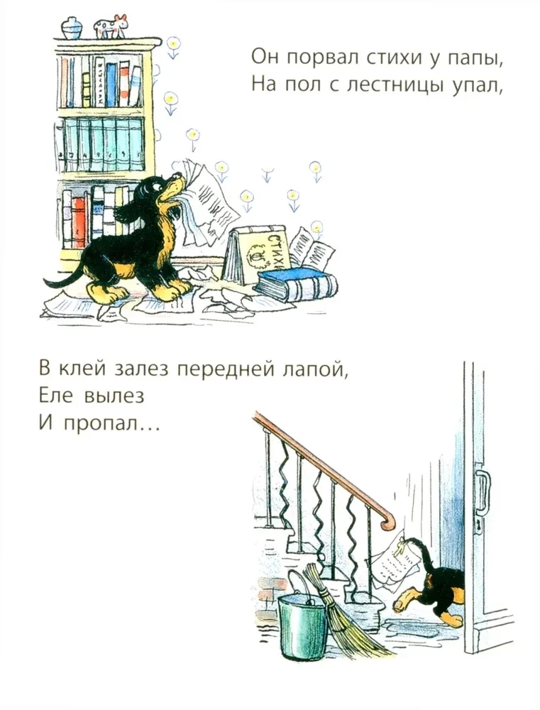 Minu kutsikas