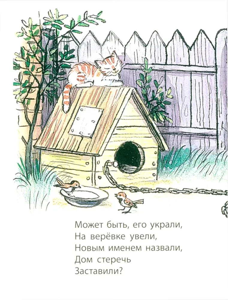 Minu kutsikas