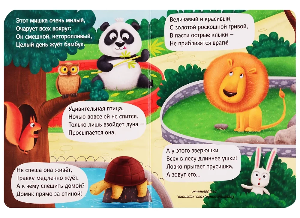 Загадки