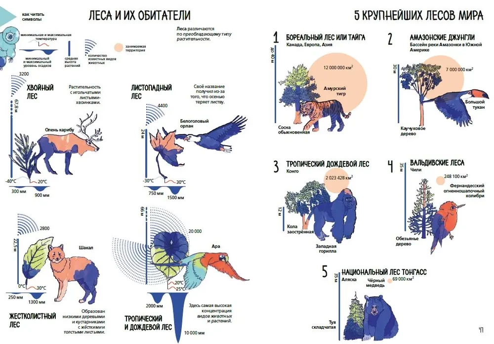 Žemės planeta