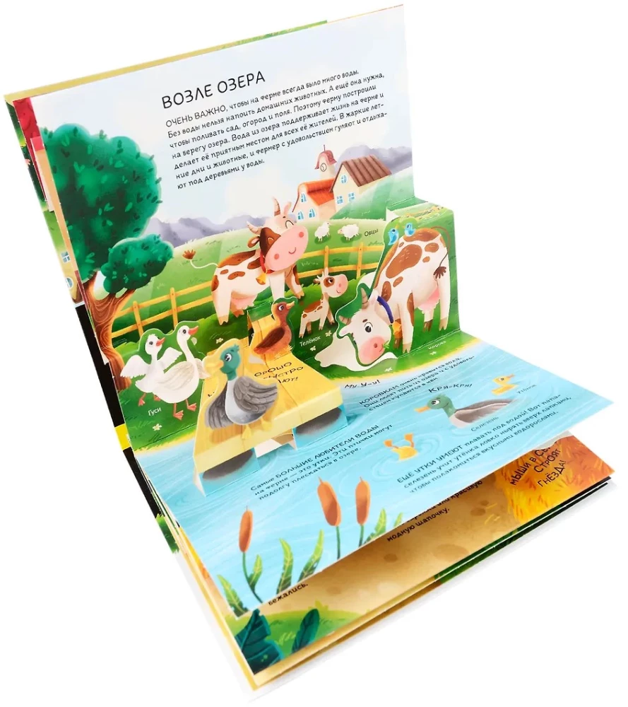 Dinosaurier. Weltraum. Maschinen. Wilde Tiere. Haustiere. Anatomie (6 Bücher mit 3D-Illustrationen POP-UP)