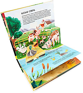 Dinosaurier. Weltraum. Maschinen. Wilde Tiere. Haustiere. Anatomie (6 Bücher mit 3D-Illustrationen POP-UP)