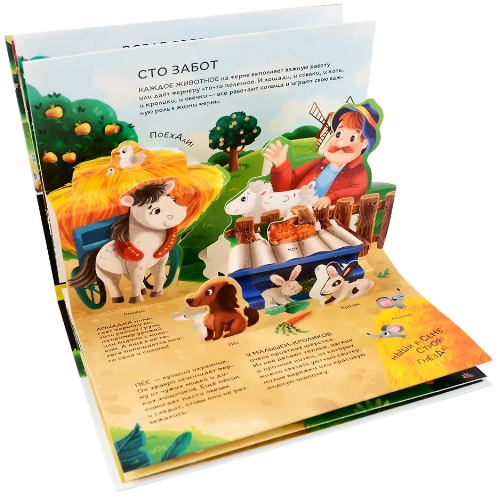 Dinosaurier. Weltraum. Maschinen. Wilde Tiere. Haustiere. Anatomie (6 Bücher mit 3D-Illustrationen POP-UP)