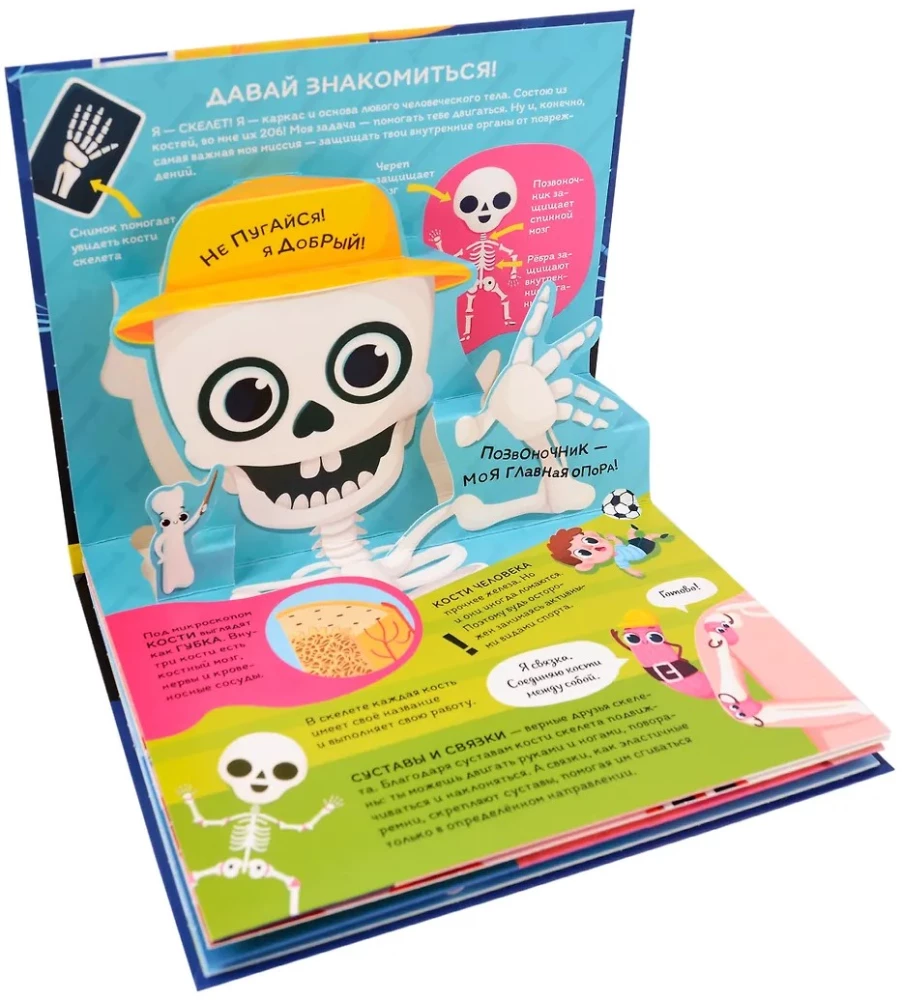 Dinosaurier. Weltraum. Maschinen. Wilde Tiere. Haustiere. Anatomie (6 Bücher mit 3D-Illustrationen POP-UP)