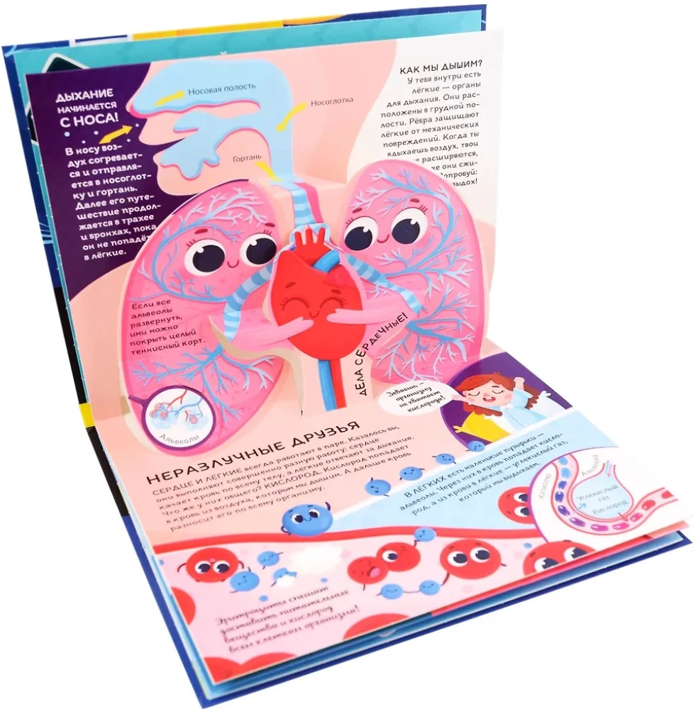Dinosaurier. Weltraum. Maschinen. Wilde Tiere. Haustiere. Anatomie (6 Bücher mit 3D-Illustrationen POP-UP)