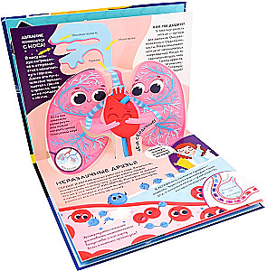Dinosaurier. Weltraum. Maschinen. Wilde Tiere. Haustiere. Anatomie (6 Bücher mit 3D-Illustrationen POP-UP)