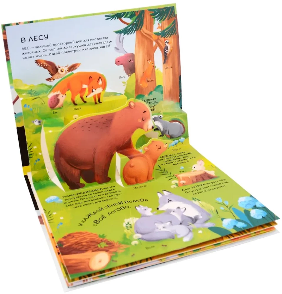 Dinosaurier. Weltraum. Maschinen. Wilde Tiere. Haustiere. Anatomie (6 Bücher mit 3D-Illustrationen POP-UP)