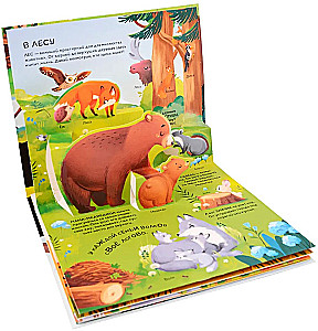 Dinosaurier. Weltraum. Maschinen. Wilde Tiere. Haustiere. Anatomie (6 Bücher mit 3D-Illustrationen POP-UP)