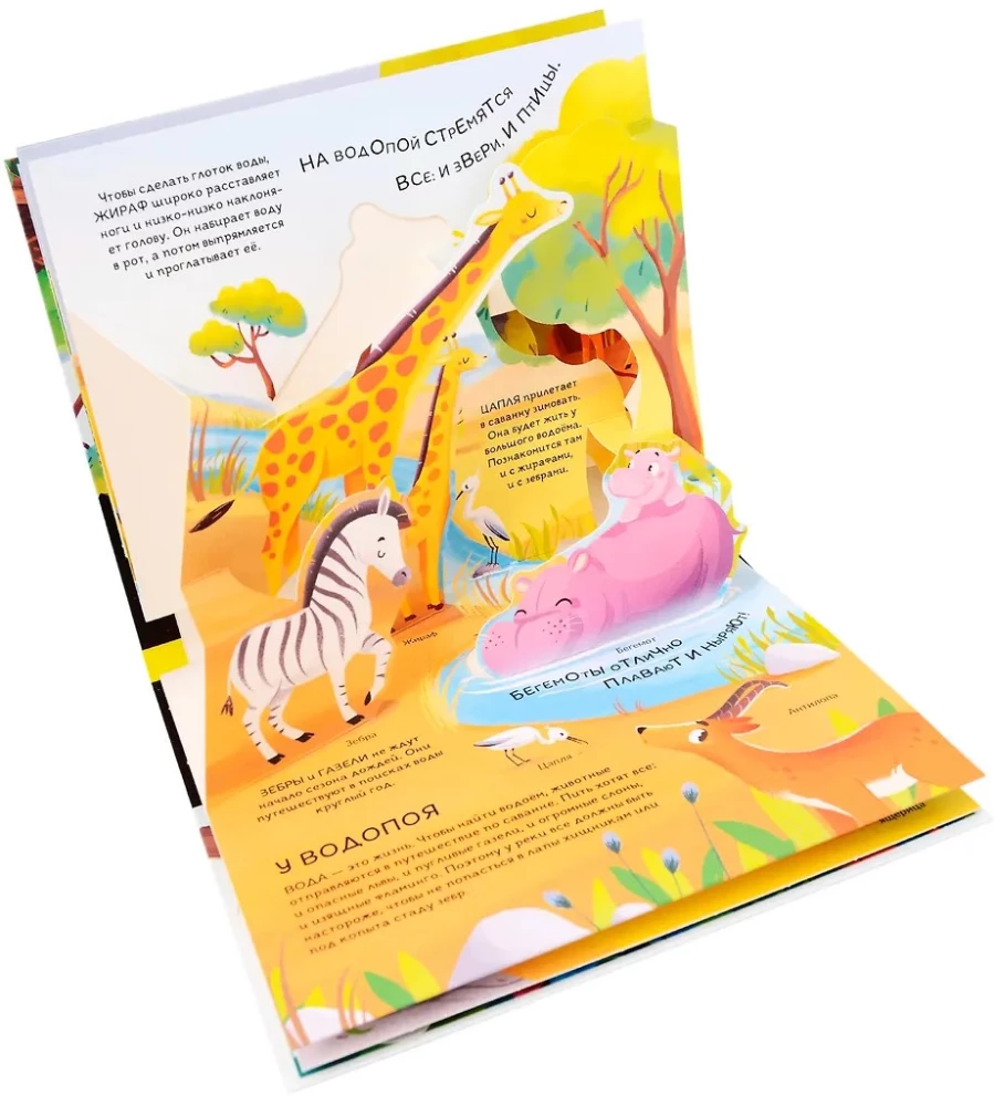 Dinosaurier. Weltraum. Maschinen. Wilde Tiere. Haustiere. Anatomie (6 Bücher mit 3D-Illustrationen POP-UP)