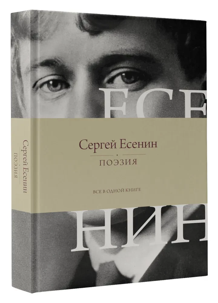 Poetika. Viskas vienoje knygoje