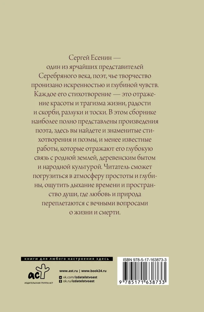 Poetika. Viskas vienoje knygoje
