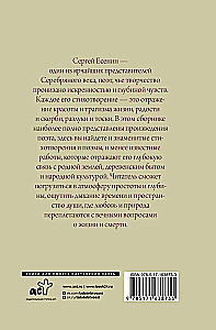 Poetika. Viskas vienoje knygoje