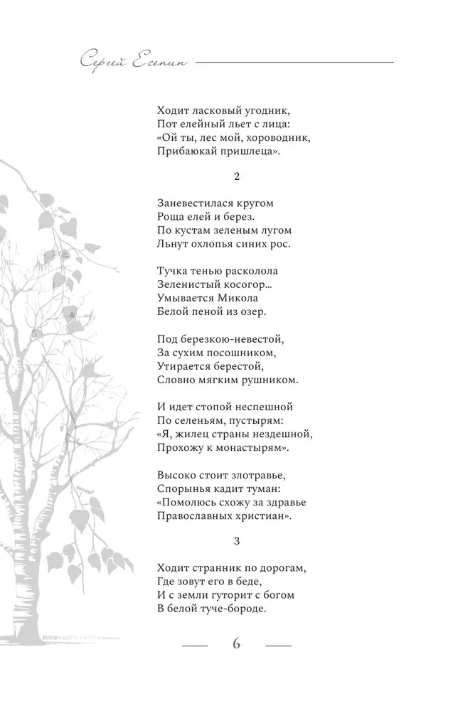 Poetika. Viskas vienoje knygoje