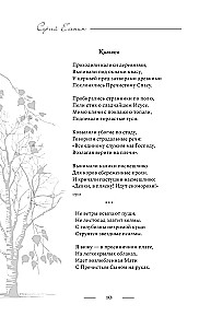 Poetika. Viskas vienoje knygoje