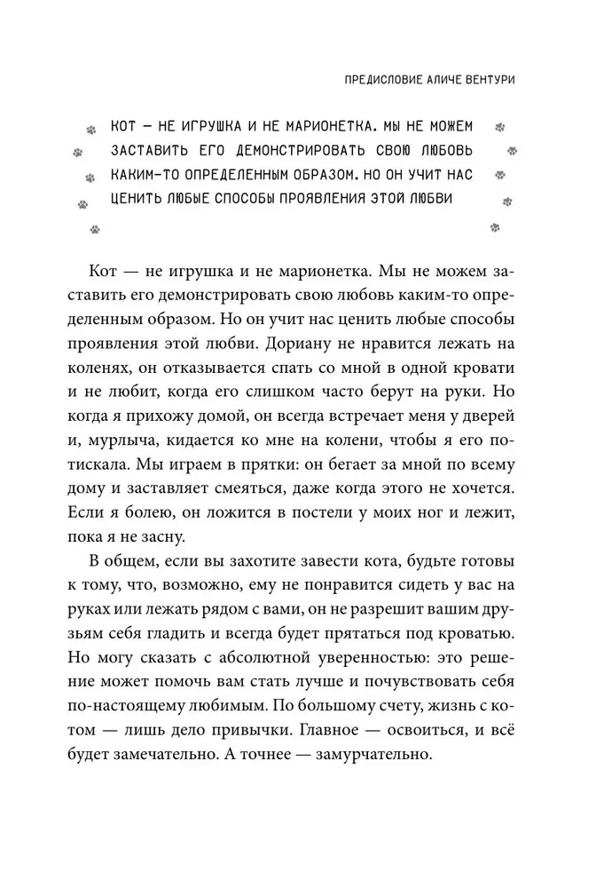 ZaMURczający przewodnik. Jak nauczyć się czytać myśli kota