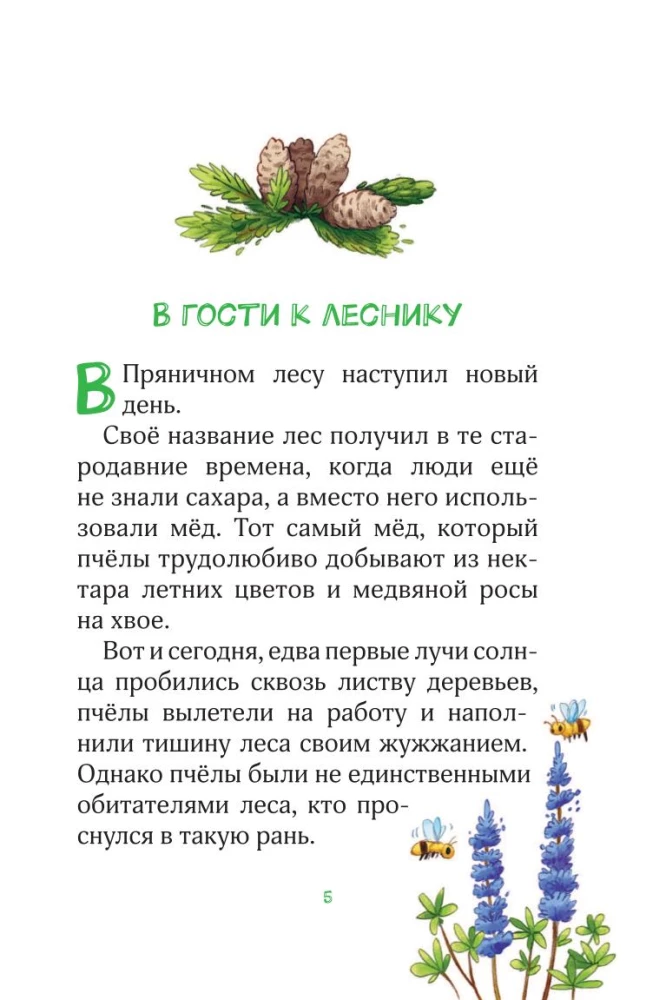 Forest Heroes. Where the Butterflies Lead