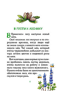 Forest Heroes. Where the Butterflies Lead