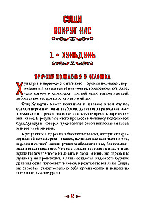 Сущи вокруг нас. Диагностика и исцеление