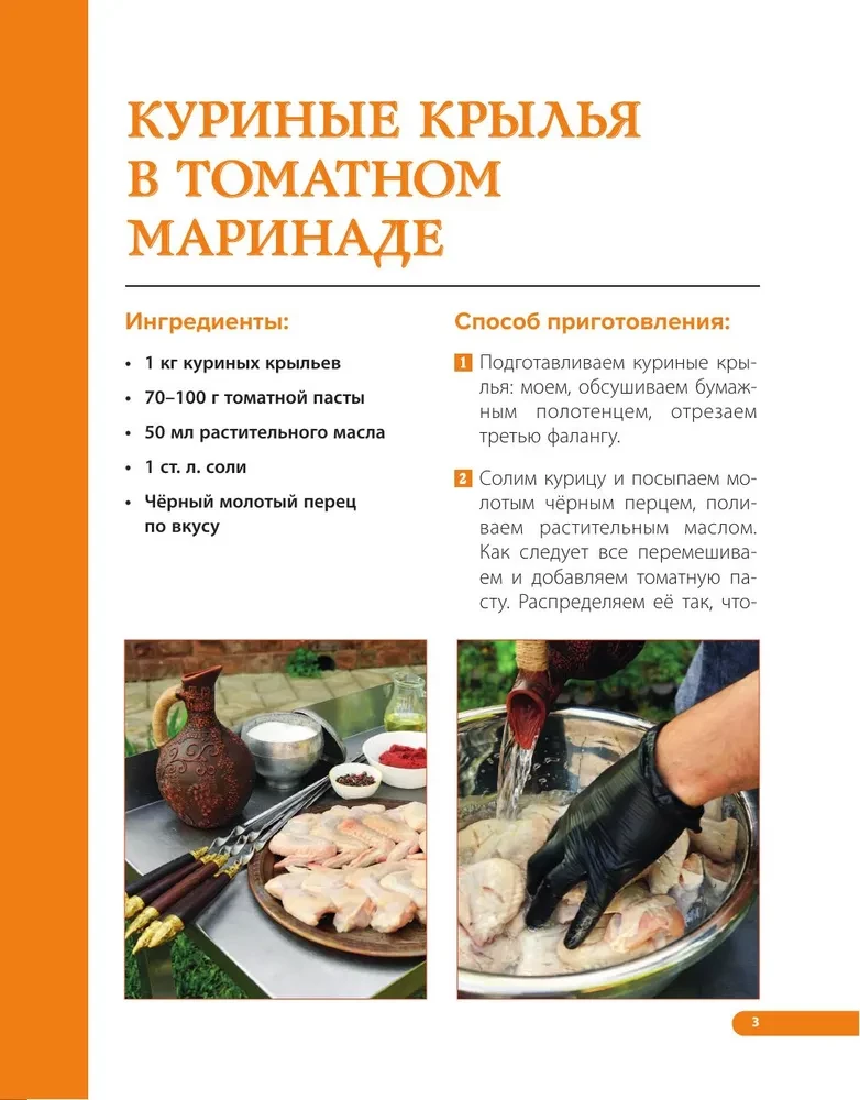 Tandoor. Die besten Rezepte