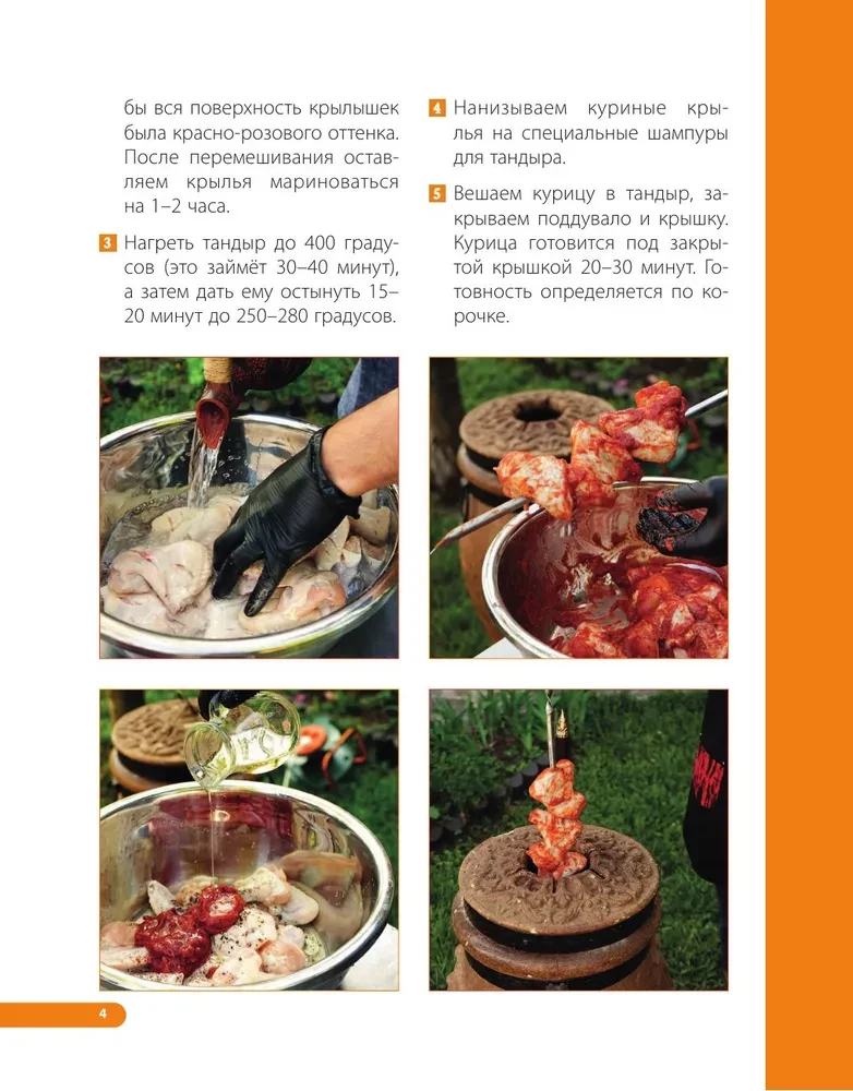 Tandoor. Die besten Rezepte