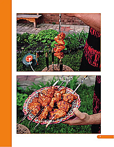 Tandoor. Die besten Rezepte