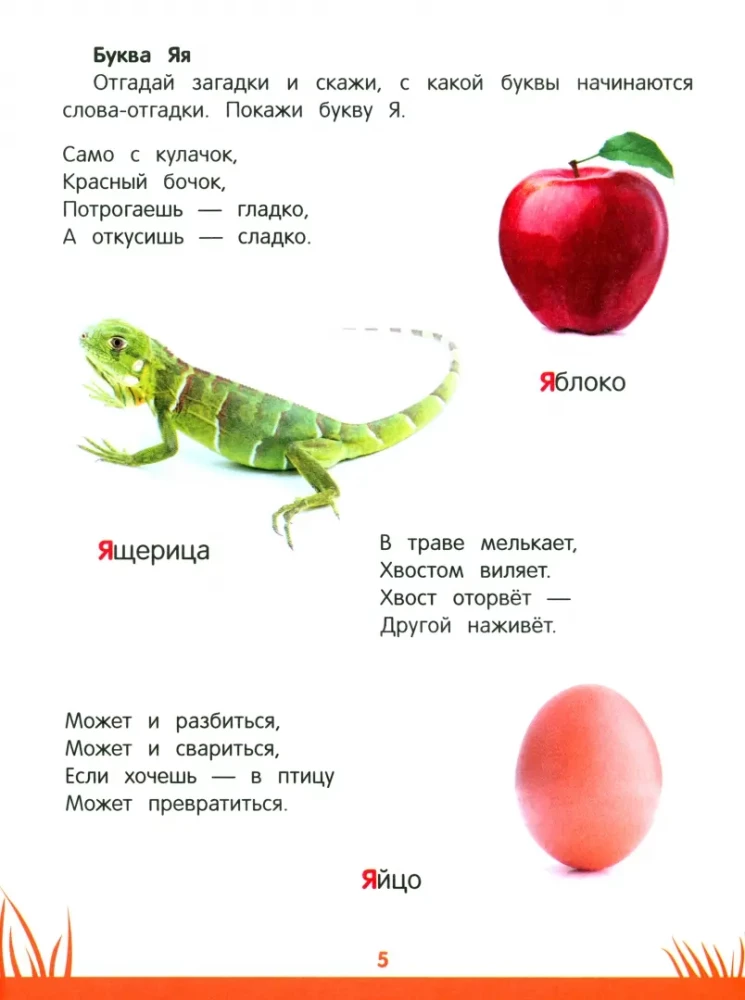 Encyklopedia przedszkolaka. 4-5 lat