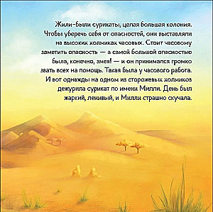 Mili surikata saugoja