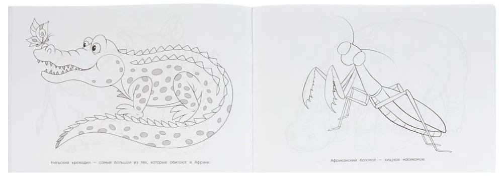 Afrikos gyvūnai. Piešimo albumas