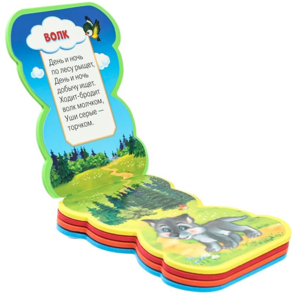 Forest Animals