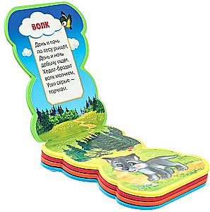 Forest Animals