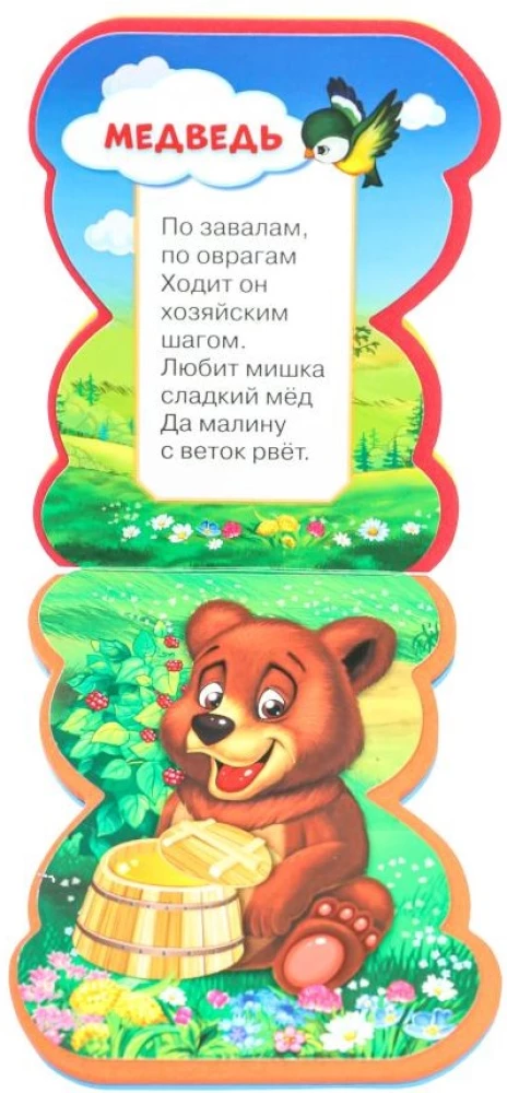 Forest Animals